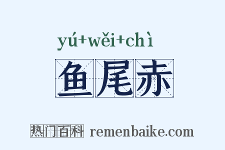 鱼尾赤是什么意思的图片